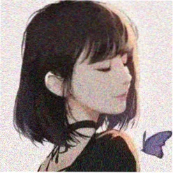 影迷头像 熵减观测者